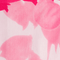 Colour swatch: Pink Field