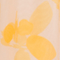 Colour swatch: Daylight