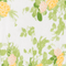 Colour swatch: Green Sunlight