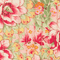 Blooming 