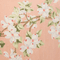 Colour swatch: Floral Garden