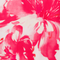 Colour swatch: Hibiscus