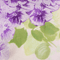 Purple Flowerfield