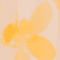 Colour swatch: Daylight