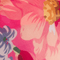 Colour swatch: Pink Blossoms