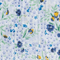 Colour swatch: Enchanted Garden