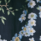 Colour swatch: Cherry Blossom