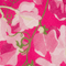 Colour swatch:  Poppy Meadow