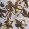 Colour swatch: Wallpaper
