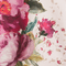 Colour swatch: Rose