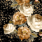 Black Rose