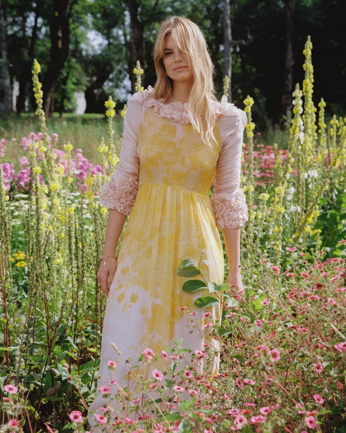 Organza Gown, Daylight. Image #3
