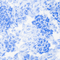 Colour swatch: Azure Meadow