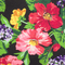 Colour swatch: Midnight Bloom