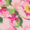 Cherry Blossoms