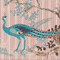Colour swatch: Peacock