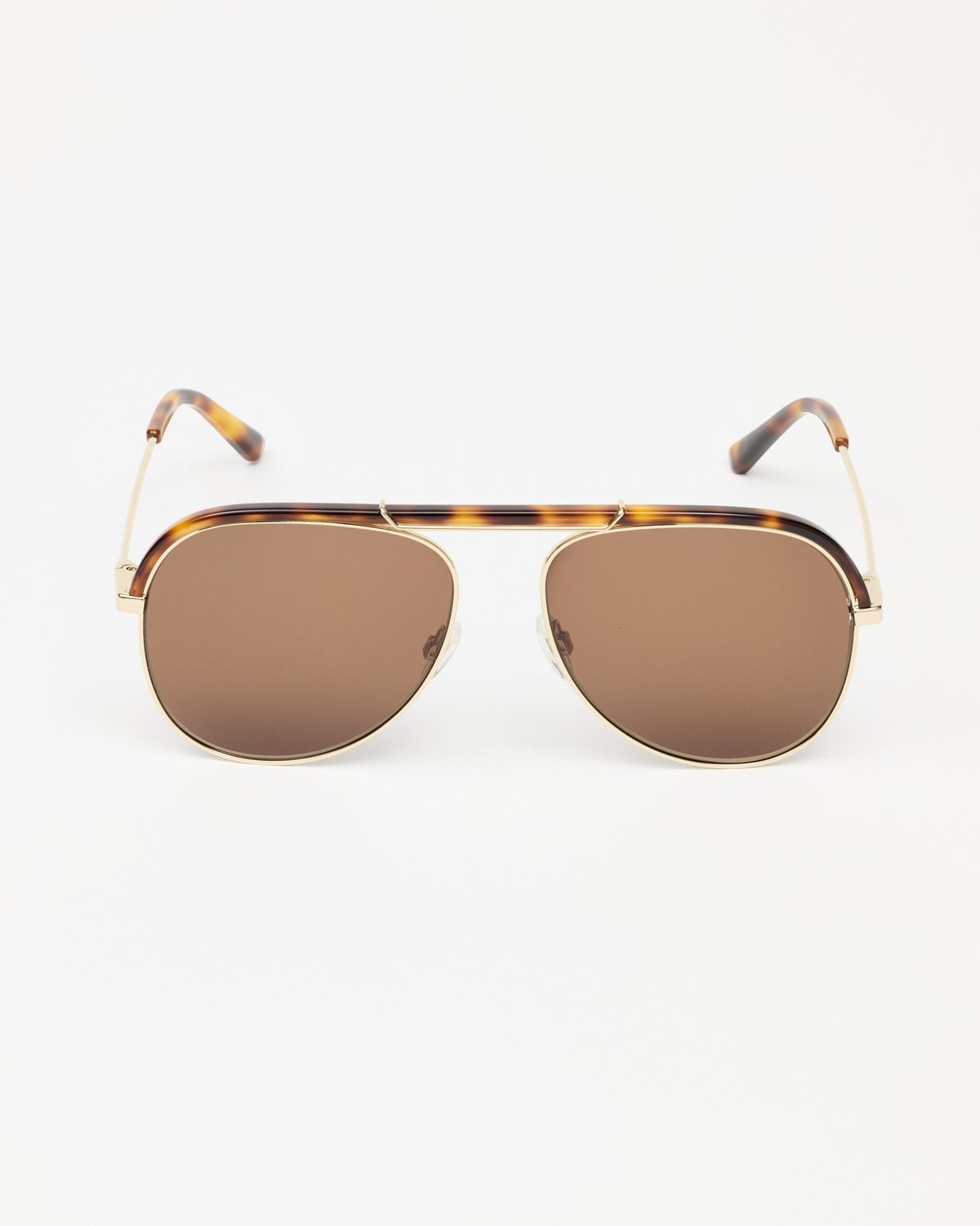 The Aviator, Tortoise. Image #2