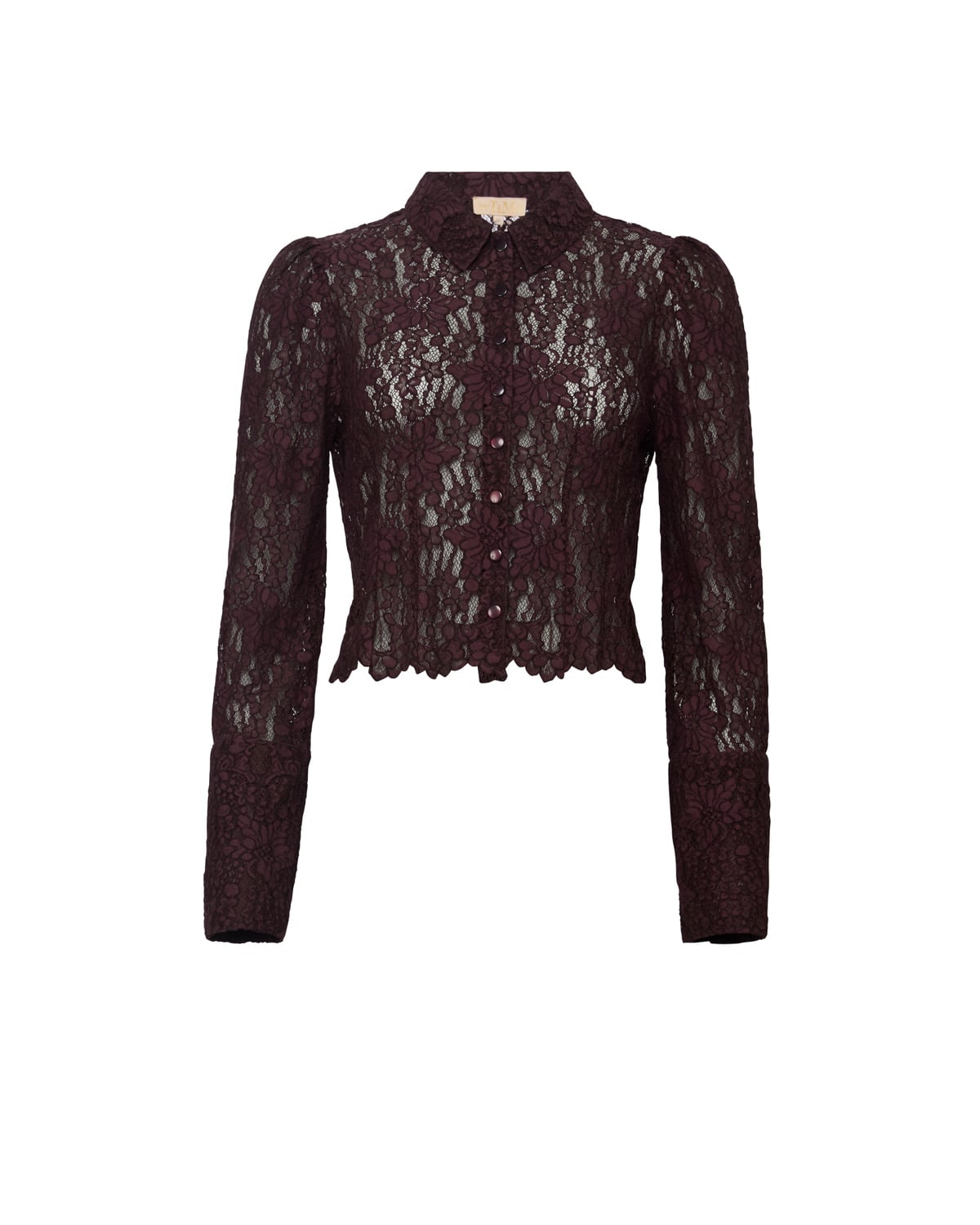 Lace Shirt, Burgundy. Image #1