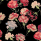 Colour swatch: Poppies