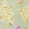 Colour swatch: Vintage Bouquet