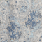 Blue Paisley