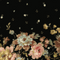 Midnight Blossoms