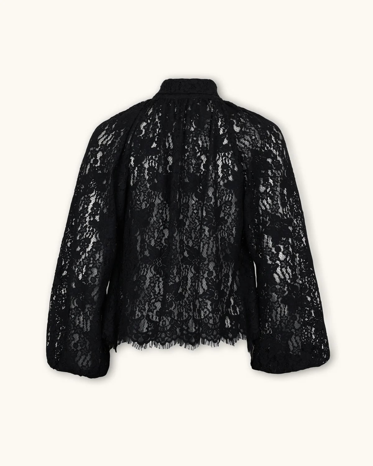 Lace Bow Blouse, Black. Image #5